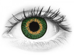 Zöld Expressions Colors kontaktlencse - dioptria nélkül (1 db lencse)