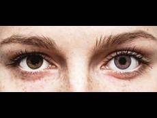 Ametiszt Freshlook Colors kontaktlencse - dioptria nélkül (2 db lencse)