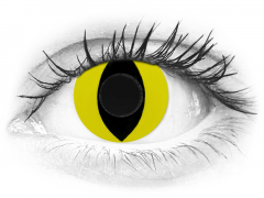 CRAZY LENS - Cat Eye Yellow - dioptria nélkül napi lencsék (2 db lencse)