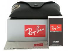 Ray-Ban napszemüveg RB4202 - 607313 