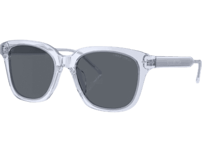 Giorgio Armani AR8210U 6081R5 